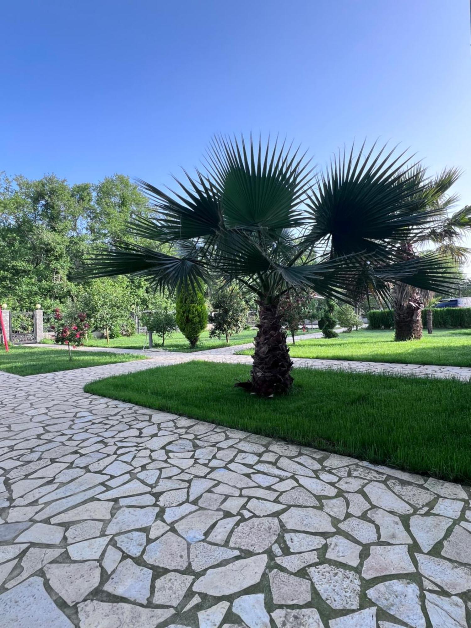 Residence Leora Ulcinj Exterior photo